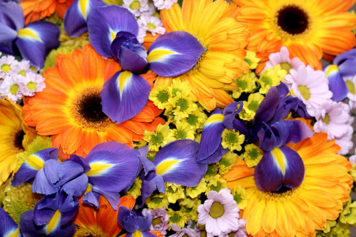 694493 (a): :2400x1600